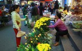 Đa dạng các 
